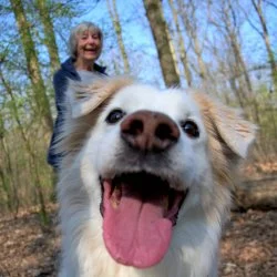 Tierheim Hund Rudi wartet auf ein neues Zuhause