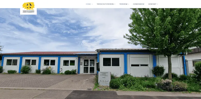 Tierheim Achern besuchen