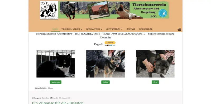 Tierheim Altentreptow besuchen