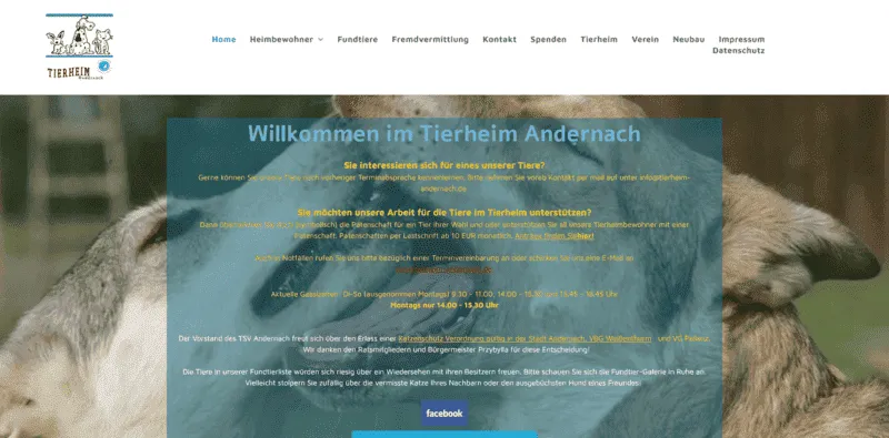 Tierheim Andernach besuchen