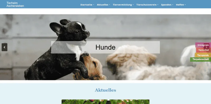 Tierheim Aschersleben in Aschersleben ansehen