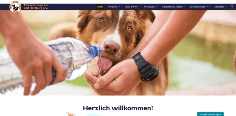 Tierschutzverein Bad Homburg besuchen