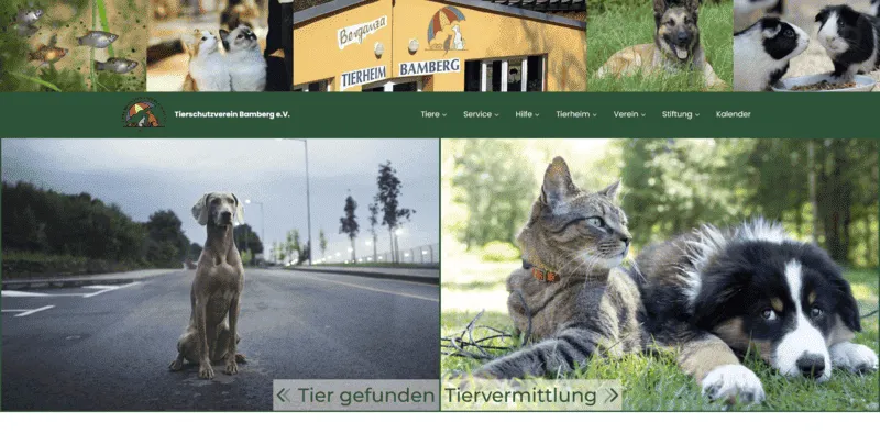 Tierheim Bamberg besuchen