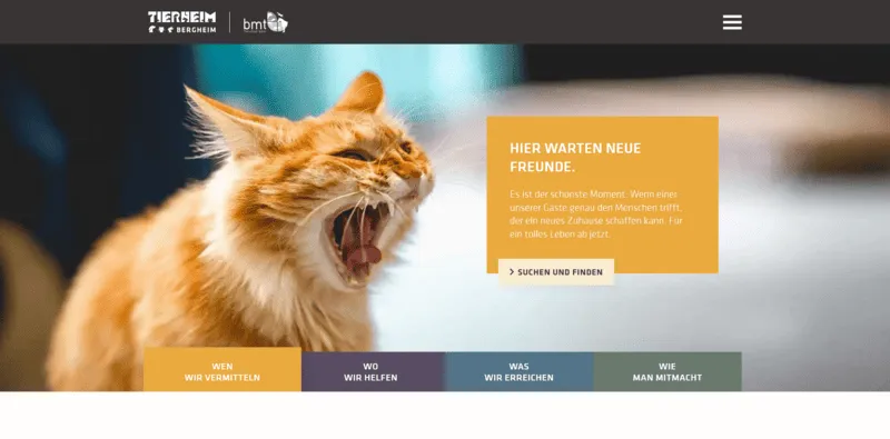 Tierheim Bergheim besuchen