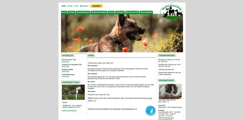 Tierheim Braunschweig besuchen