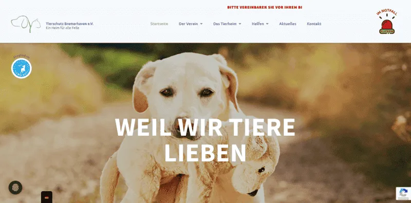 Tierheim Bremerhaven besuchen