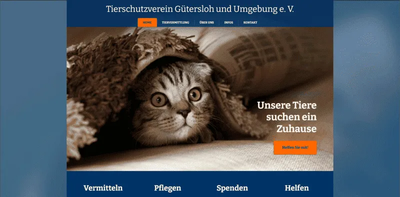 Tierheim Gütersloh besuchen