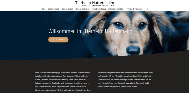 Tierschutzverein Hattersheim besuchen