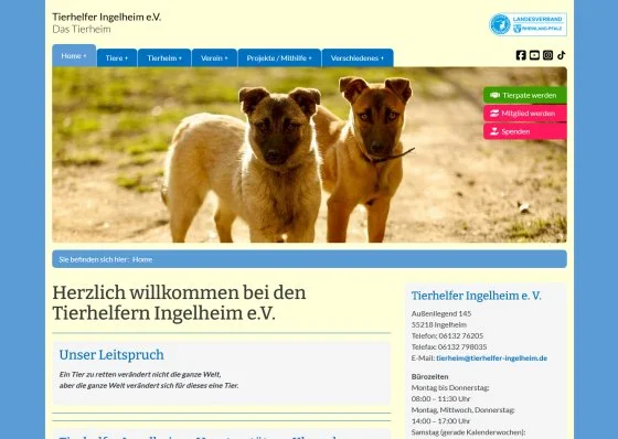 Tierhelfer Ingelheim e. V. in Ingelheim ansehen