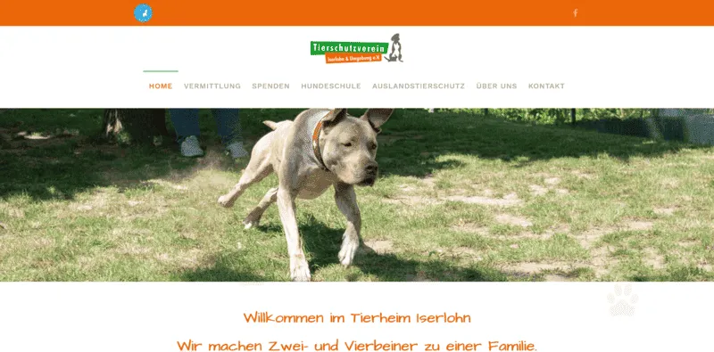 Tierheim Iserlohn besuchen