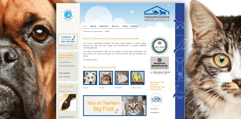 Tierheim Kaiserslautern besuchen