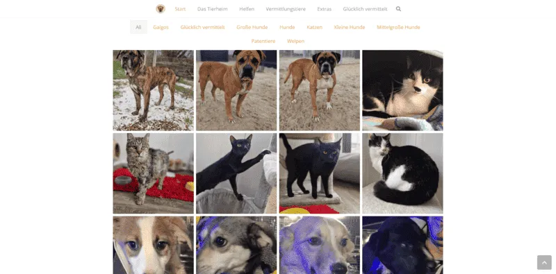 Tierheim Kranenburg besuchen