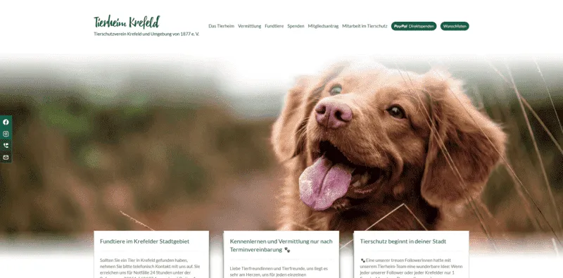 Tierheim Krefeld besuchen