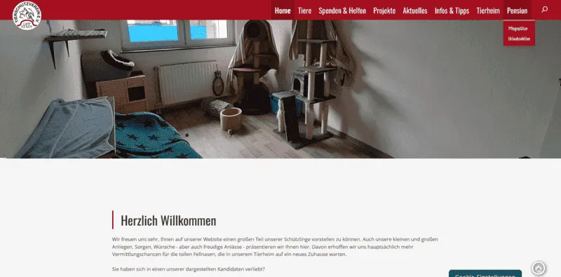 Tierheim Lippstadt besuchen