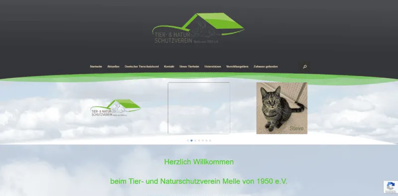 Tierheim Melle besuchen