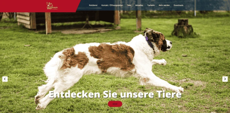 Tierheim Minden besuchen