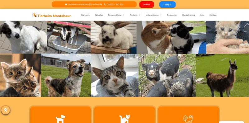 Tierheim Montabaur besuchen