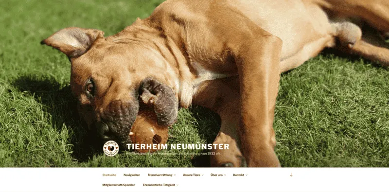 Tierheim Neum&uuml;nster in Neum&uuml;nster ansehen