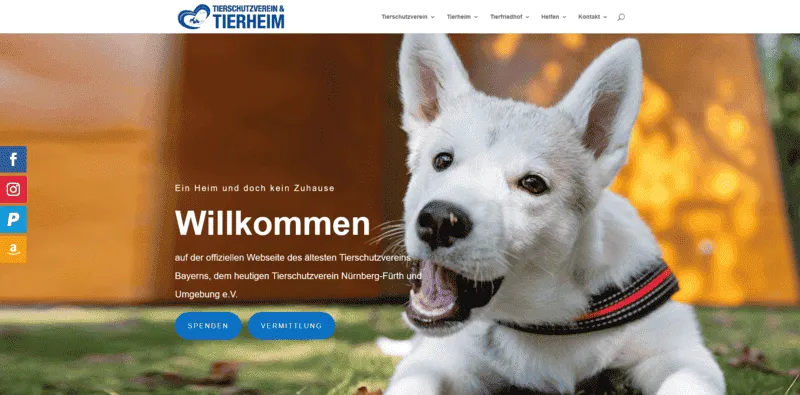 Tierheim Nürnberg besuchen