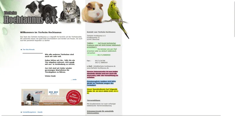 Tierheim Hochtaunus besuchen