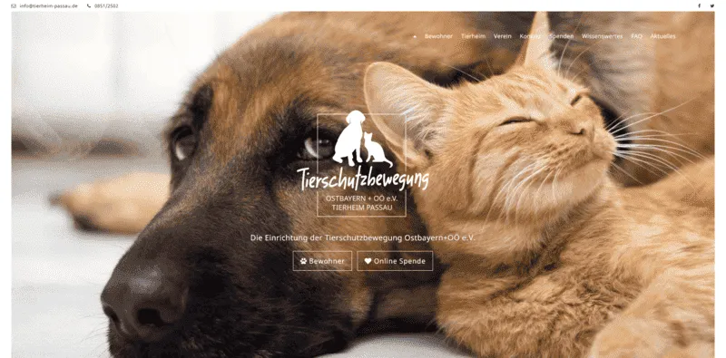 Tierheim Passau besuchen