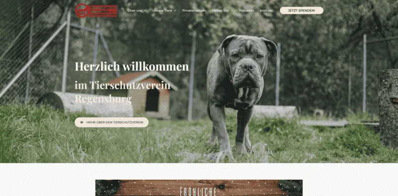 Tierheim Regensburg besuchen