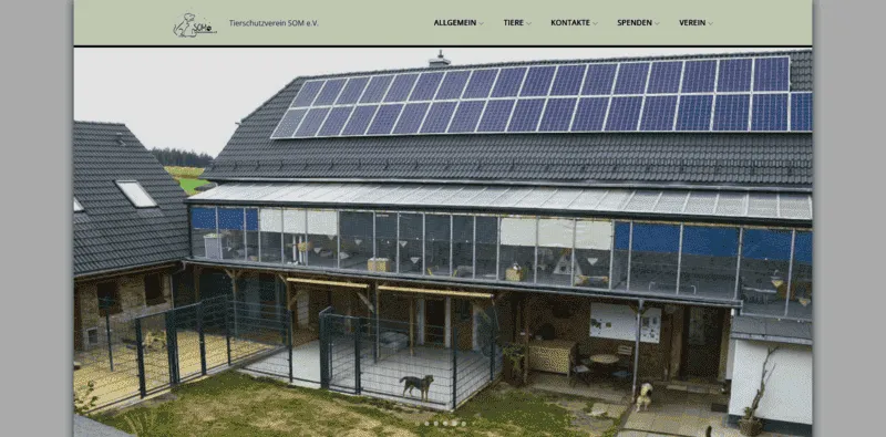 Tierheim Pfaffengrün besuchen