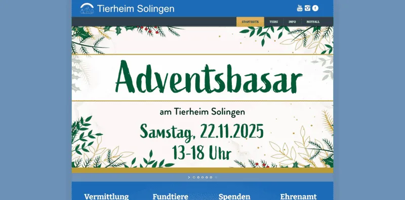 Tierheim Solingen besuchen