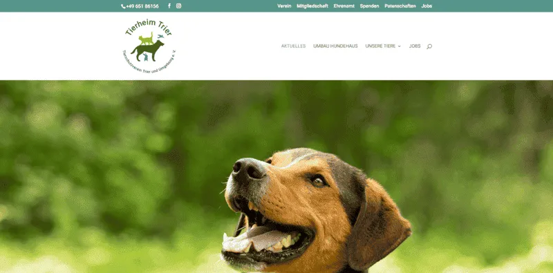 Tierschutzverein Trier und Umgebung e.V. besuchen